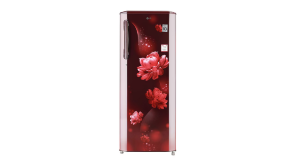 LG 270 L 3 Star Inverter Direct-Cool Single Door Refrigerator GL-B281BSCX