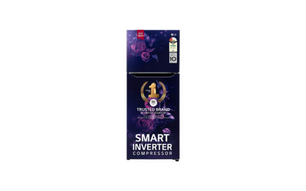 LG 242 L 2 Star 2023 Model GL-N292BBEY Smart Inverter Frost-Free Double Door Refrigerator